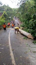 Sinergi Pemerintah Kalurahan Girikarto, Masyarakat, PLN dan BPBD Gunungkidul